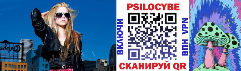 Псилоцибиновые грибы прущие грибы  купить наркотик  Тайга 